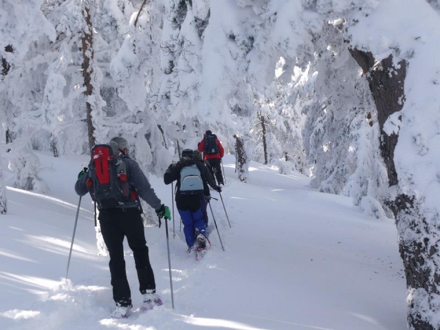 raquetas de nieve6.jpg